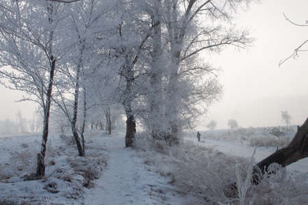 Jilin, a place with very high latitudes, can often see rime in winter.の写真素材