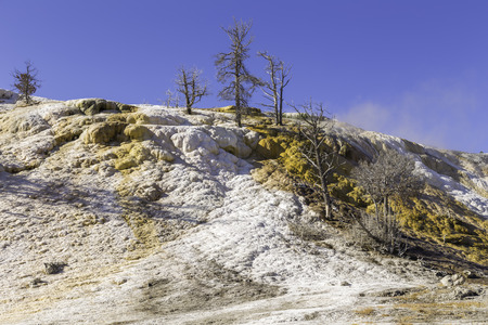 Yellowstone National Park, Wyoming, United States September 20, 2014 â Geothermal activity in Yellowstone creating vivid colors and killing the vegetation in the surrounding area.のeditorial素材