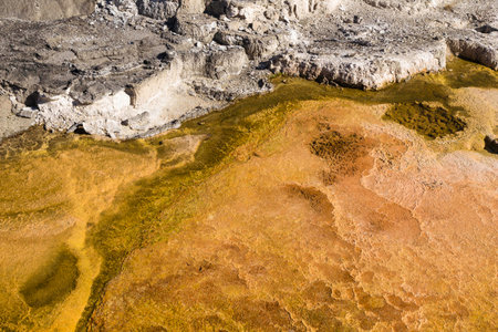 Yellowstone National Park, Wyoming, United States September 20, 2014 â Geothermal activity in Yellowstone carving interesting patterns in the rock and steam rising from the heat.のeditorial素材