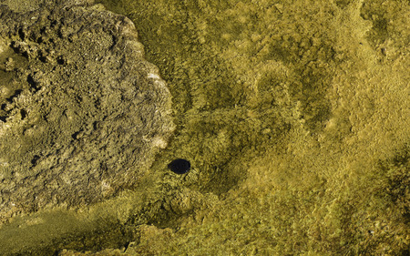 Yellowstone National Park, Wyoming, United States September 20, 2014 ? Geothermal activity in Yellowstone creating beautiful textures and colors in the ground. Potographers littering with lens caps.のeditorial素材