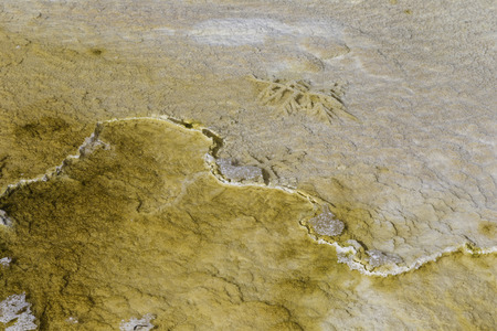 Yellowstone National Park, Wyoming, United States September 20, 2014 ? Underwater geological formation in Yellowstone National Park.のeditorial素材