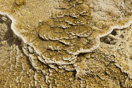 Yellowstone National Park, Wyoming, United States September 20, 2014 ? Underwater crystaline geological formation in Yellowstone National Park.のeditorial素材