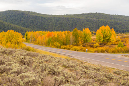 Grand Teton National Park, Wyoming, United States September  2014 â A photographer walking down the highway passing throug Grand Teton National Park.の写真素材