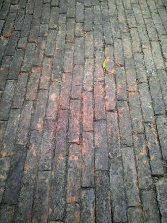 Old brick floor and texture