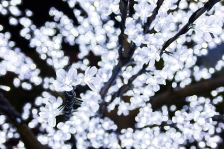 Light fake flower on the tree in christmas day