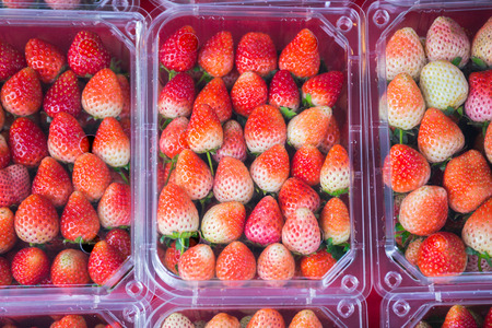 Closeup pack of fresh strawberry on shelf in Thailandの写真素材