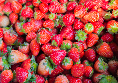 Fresh riped strawberry for Food farm backgroundの写真素材