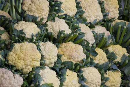 Stacked Cauliflowers の写真素材