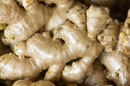 gingerの写真素材