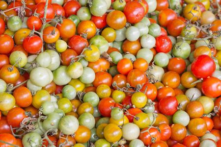 muti-color of tomatoの写真素材