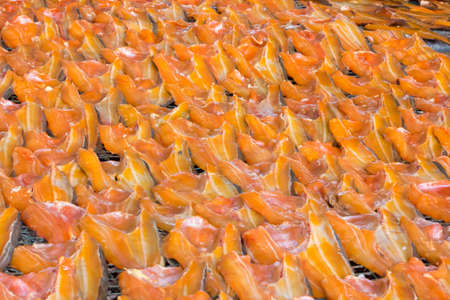 Dried fish in market for sale の写真素材