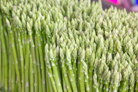 fresh asparagusの写真素材