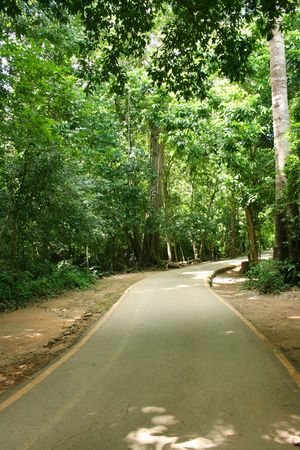 pavement to the waterfall national park in thailandの写真素材