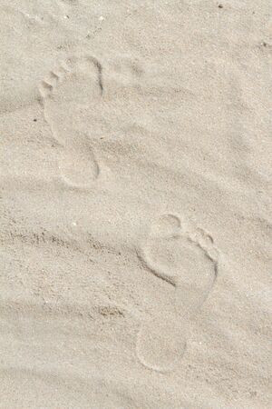 Footsteps on the beachの写真素材