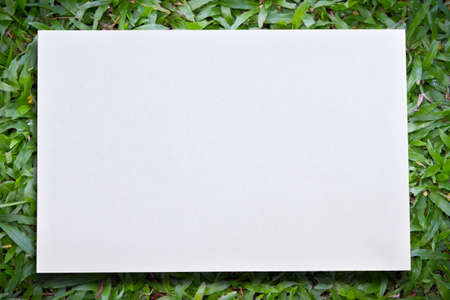 paperの写真素材