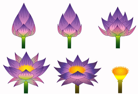 Thai purple lotus styleのイラスト素材