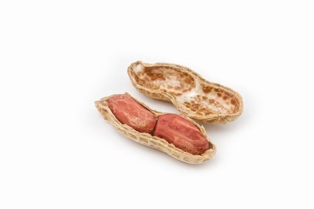 peanut