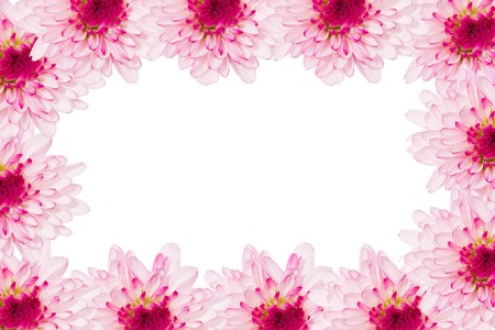 flower mum frameの写真素材