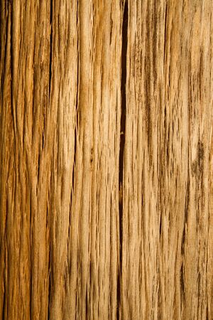 Old wood の写真素材