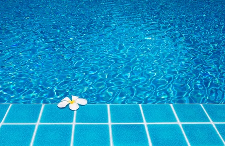 Frangipani on pool 