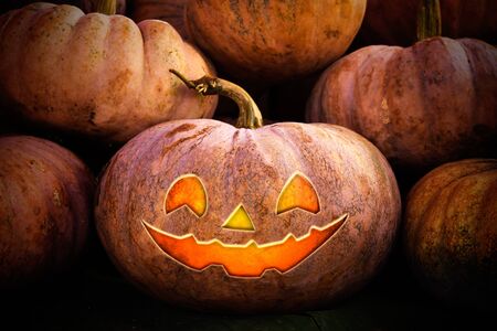 Halloween pumpkin の写真素材