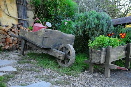 Bullock car in gardenの素材
