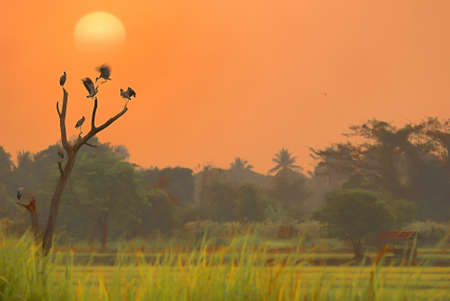 country の写真素材