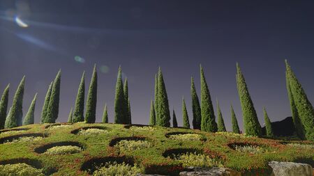 Night garden show in chiangmai thailandの写真素材