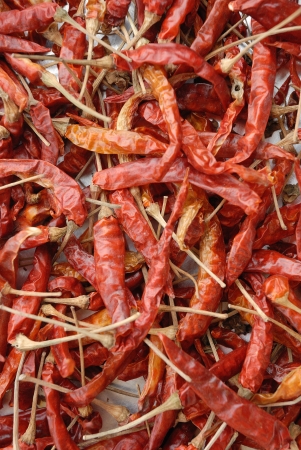 The combined, dried chillies are many red pigmentsの写真素材