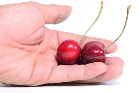 Double Black cherries in hand on isolate white backgroundの写真素材