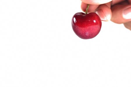 Black cherries on isolate white backgroundの写真素材