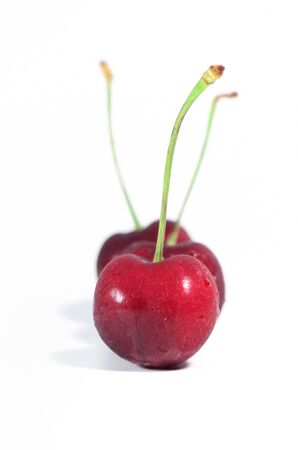 Single Black cherry on isolate white backgroundの写真素材