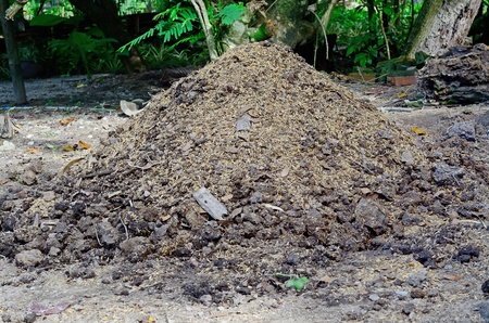 manureの写真素材