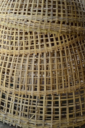 Chicken coop の写真素材