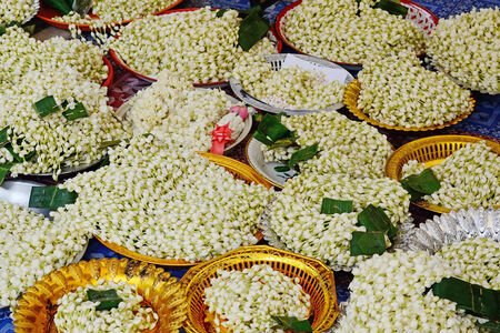 jusmine in tray for pray buddhaの写真素材