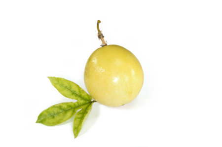 passion fruitの写真素材