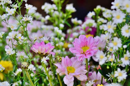 Flower shop
