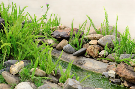 Exterior design gardenの写真素材