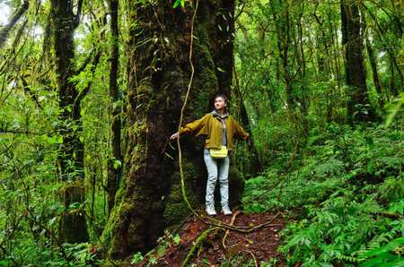 Asia woman compare body with big treeの写真素材