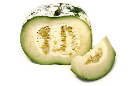 Bottle gourdの写真素材