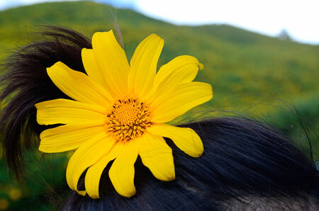 Put a flower over hair