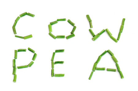 Cow-pea (long been) on white backgroundの写真素材