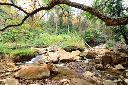 Streamlet ,Chiangmai Thailand