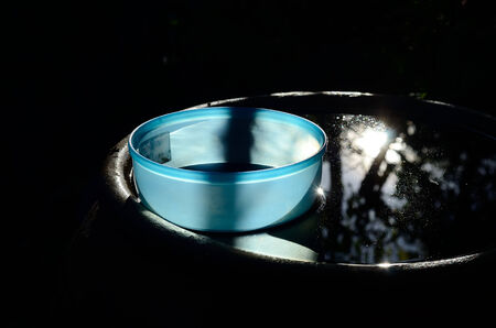 red rose petal floating water in bowl basinの写真素材