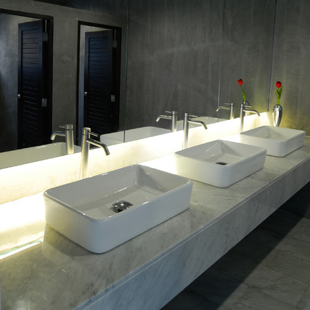 rose and flowerpot stand beside washbasin in toiletの写真素材
