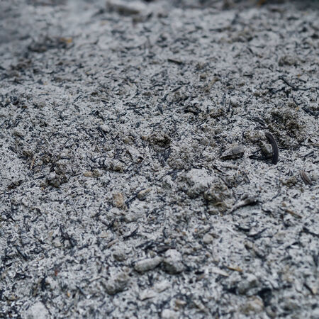 Fly ash raw material for mix with concrete as background