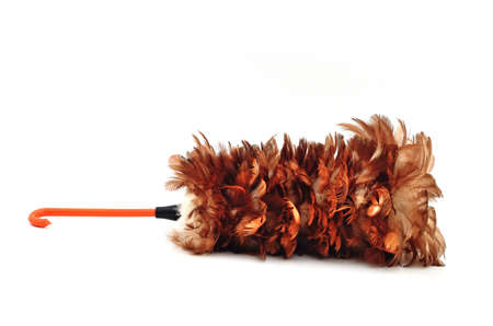 feather duster isolate on white backgroundの写真素材