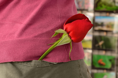 Boy attach red rose in trouser pocket prepare valentineの写真素材