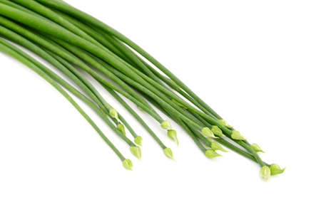 Garlic chives isolate on white
