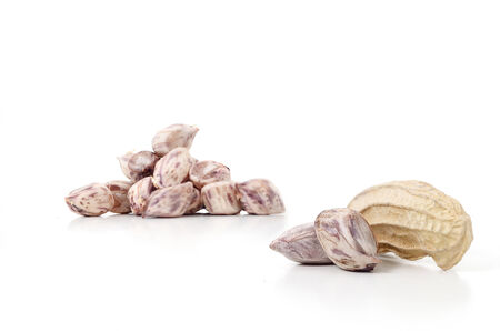 peanut isolated on white backgroundの写真素材